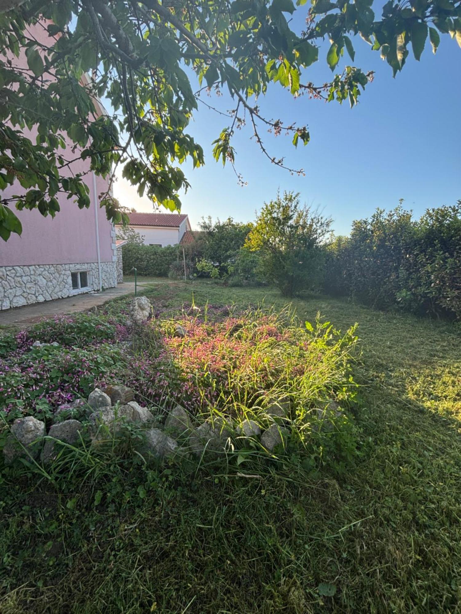 Guest House With Pool Ante Vrsi Exteriér fotografie